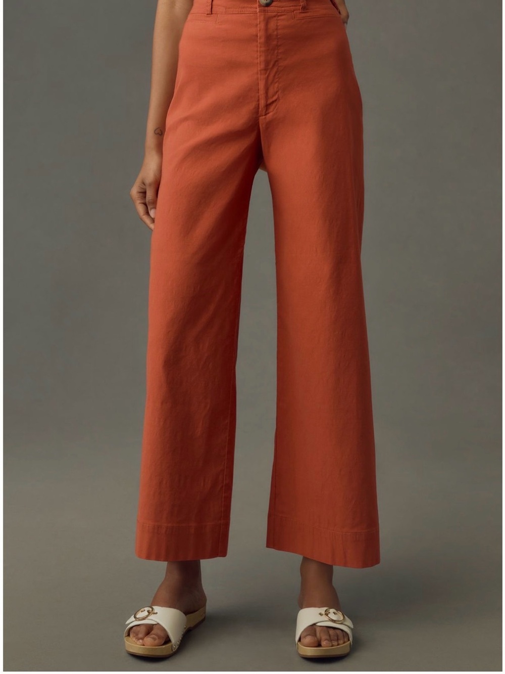 Maeve Crop Wide-Leg High-Rise Pants in Cedar Color